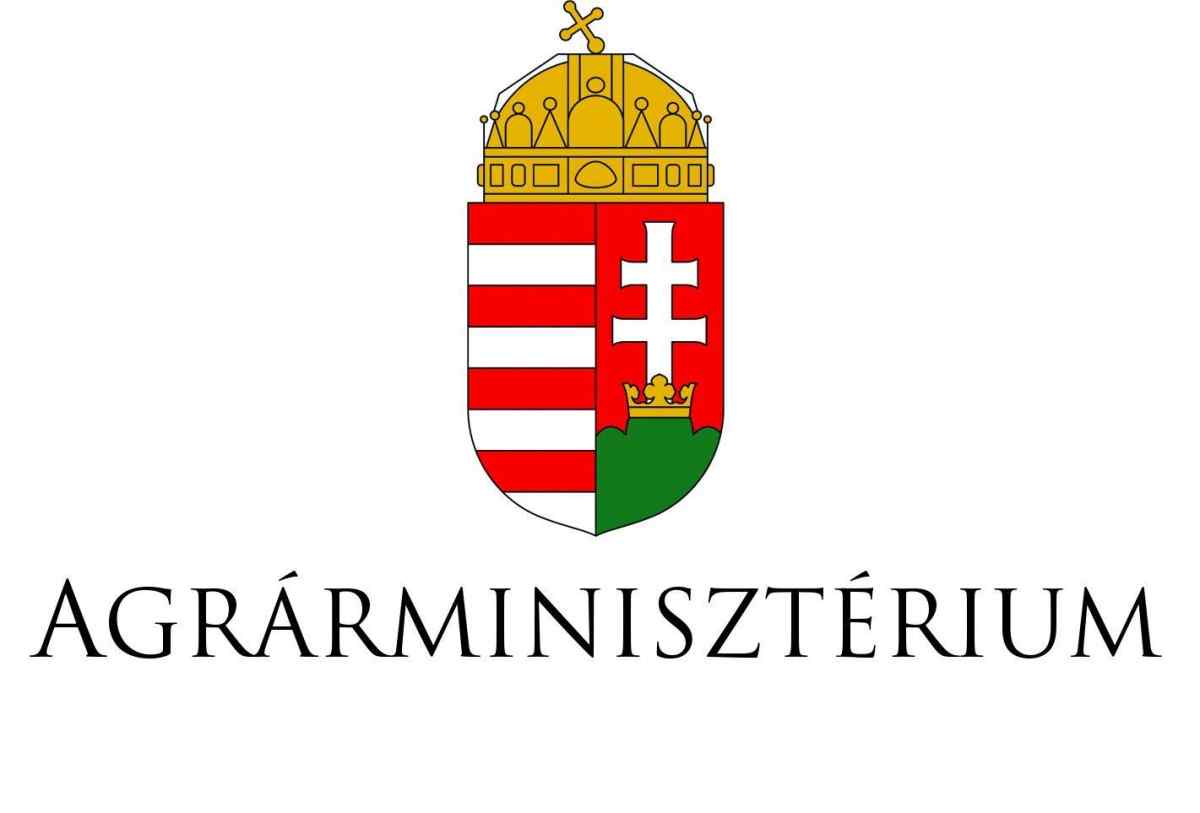 1 Am Logo Szines