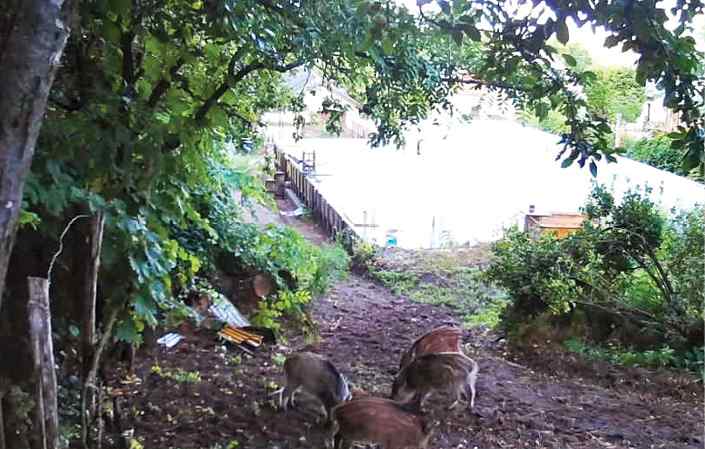 2023 08 2111 Szada 08 01