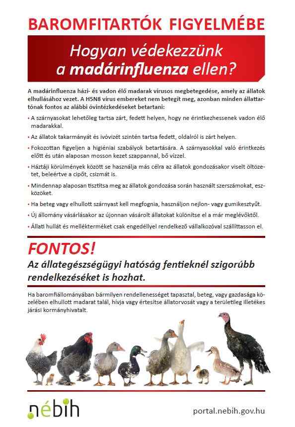 Madarinfluenza