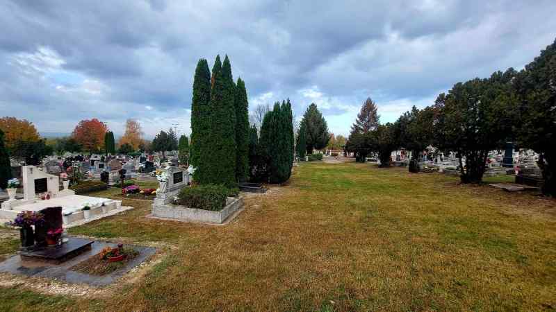 462548330 1682181772351887 2753732742603545365 N