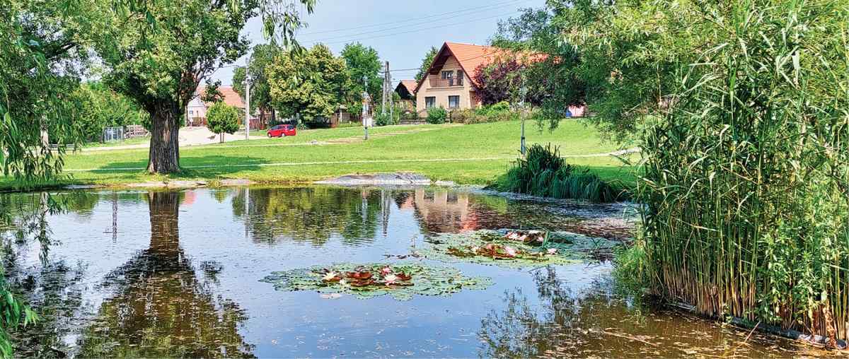 2023 07 2111 Szada 17 01