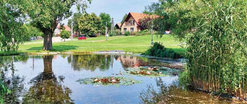 2023 07 2111 Szada 17 01