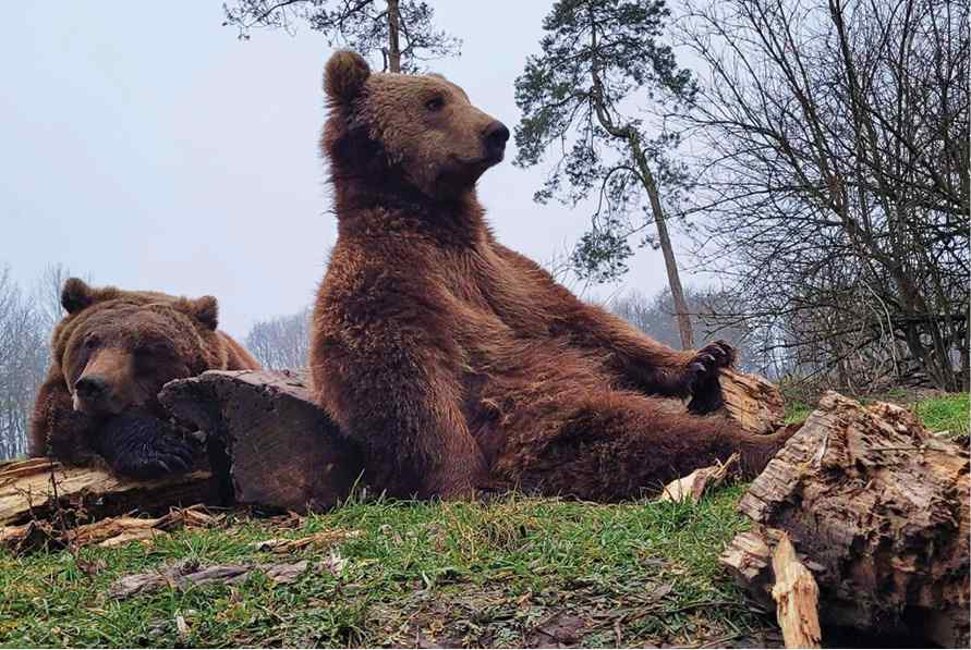 2023 02 2111 Szada 11 Old 01