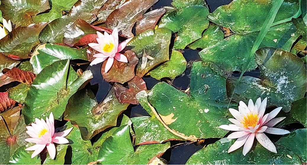 2023 07 2111 Szada 17 02