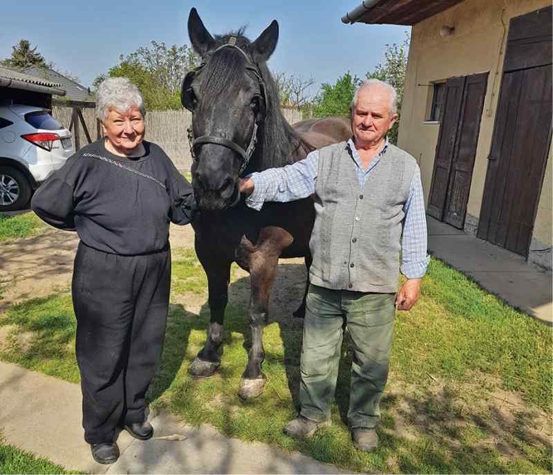 2024 05 2111 Szada 20 01