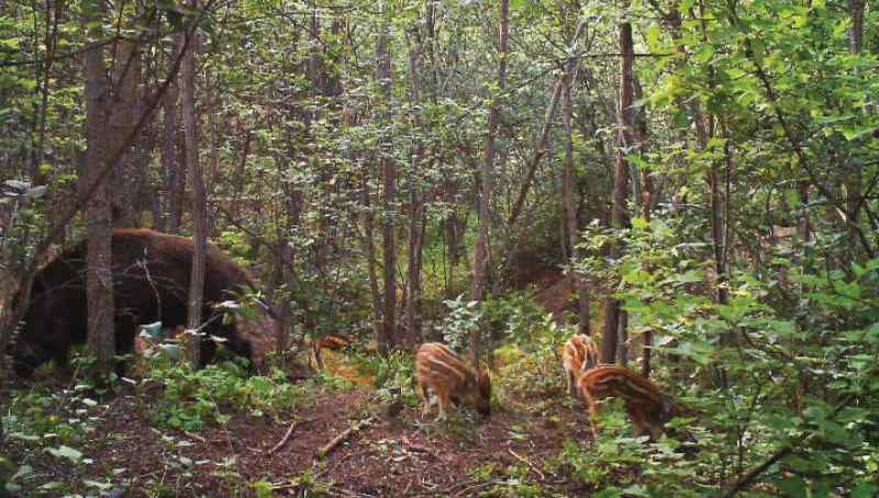 2023 08 2111 Szada 08 02