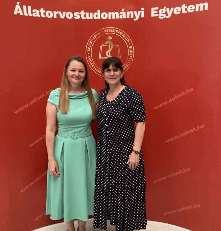 354019819 103029606175340 2696356168536856916 N